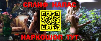 крисы Шелехов