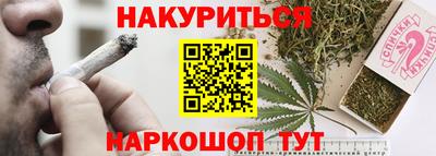 крисы Шелехов