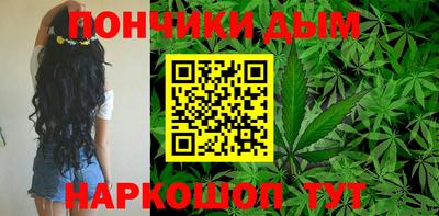 крисы Шелехов