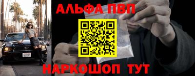 крисы Шелехов