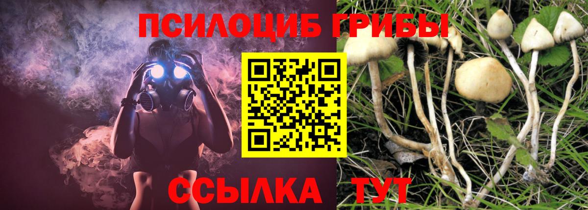 Галлюциногенные грибы GOLDEN TEACHER  Вход с VPN  Каменск-Уральский  Галлюциногенные грибы Psilocybine cubensis 